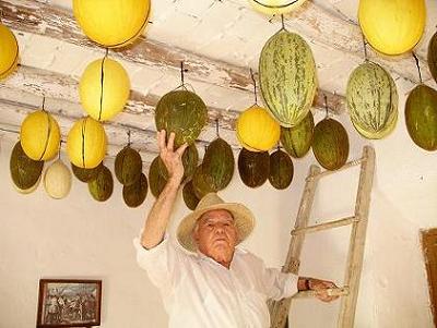 La vieja tradición de colgar en vigas los melones para el invierno
