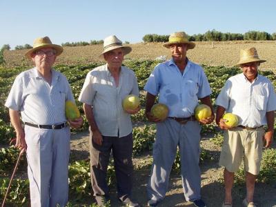 Varios loperanos mantienen viva la tradición de los melonares.