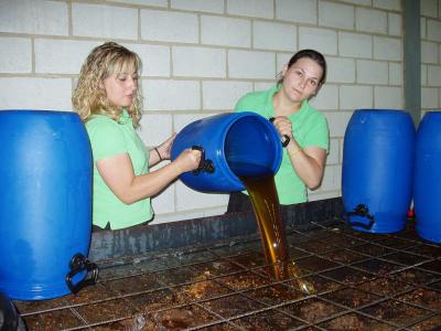 Dos jóvenes emprendedoras de Lopera montan una empresa de recogida de aceites vegetales usados.