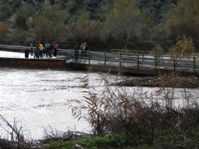 La lluvia desborda el Puente del Arroyo Salado el día 26 de diciembre de 2009