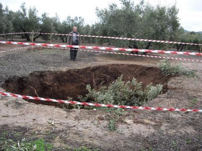 Segun la OCA de Andújar se superan los 600 l/m2 en La Campiña de Andújar  desde el 1 de Octubre y las últimas lluvias se tragan un olivo en la zona de Alcalá la Real