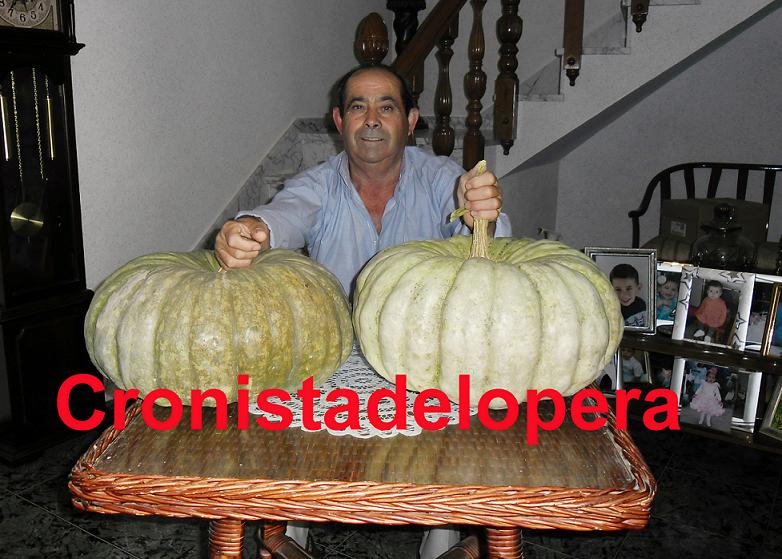 El Loperano Enrique Garrote Trapero cosecha calabazas gigantes en Lopera