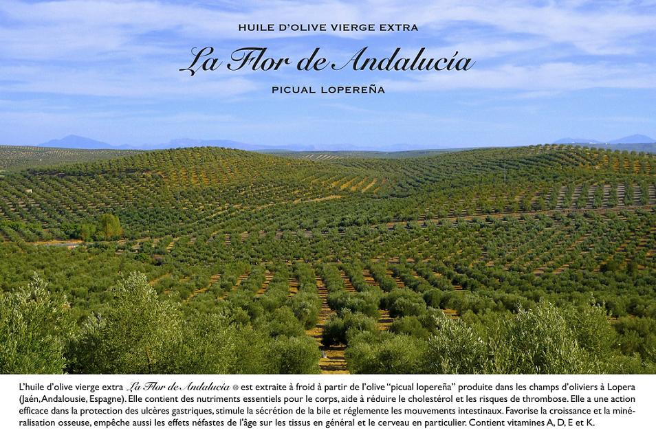 Se funda la  Compañía Oleica La Flor de Andalucía S. L. cuyo aceite y envasado procede de la Cooperativa Oleícola La Loperana.