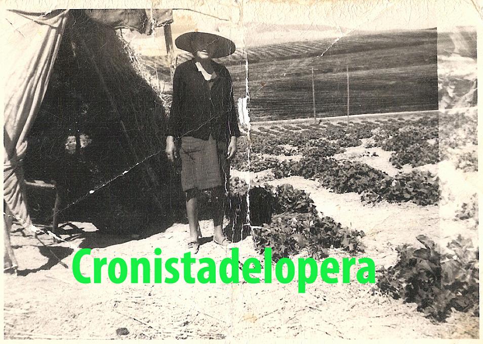 Una vista nostálgica de aquellos melonares de Lopera. La loperana Juana Chiquero Hernández en su melonar de la Parra en 1970.