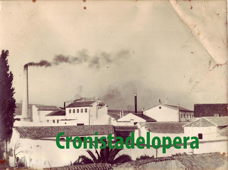 La Cooperativa Oleícola La Loperana  70 años elaborando Aceite de Oliva Virgen Extra de suprema calidad.