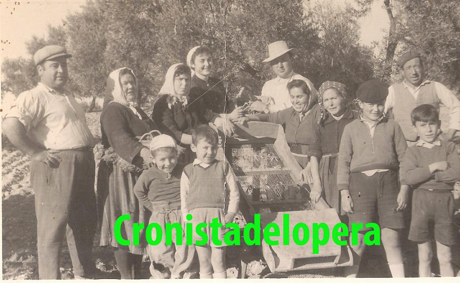 Cuadrilla familiar de aceituneros de Francisco Teruel en 1954