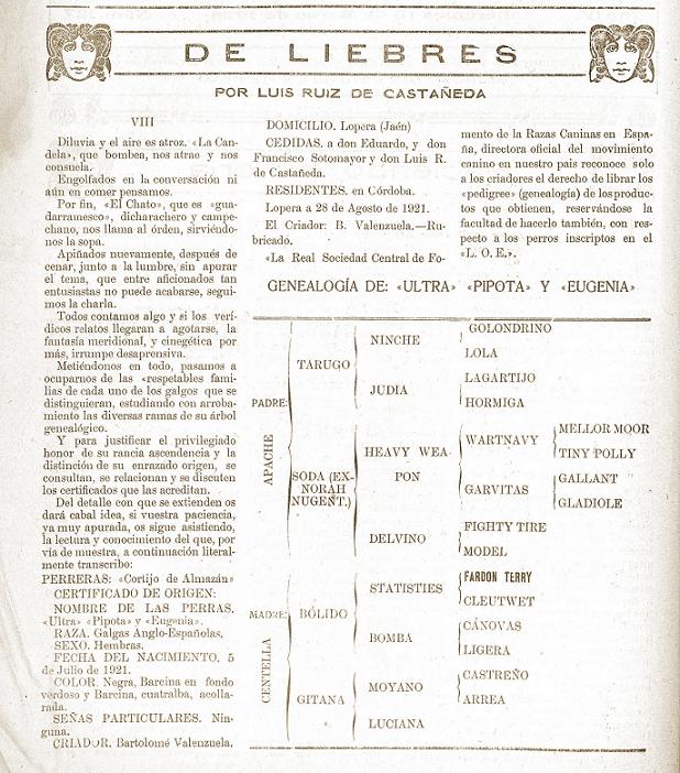 Genealogía de las galgas anglo-españolas Ultra, Pipota y Eugenia propiedad de D. Bartolomé Valenzuela Rueda