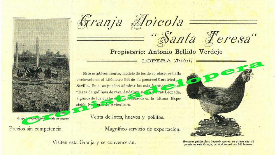 La Granja Avícola "Santa Teresa" del loperano Antonio Bellido Verdejo en 1930