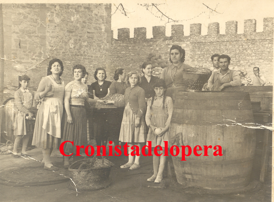 Loperanas curando aceitunas de mesa en el Patio de Armas del Castillo de Lopera. Año 1958. Las aceitunas en las variedades de sosa,