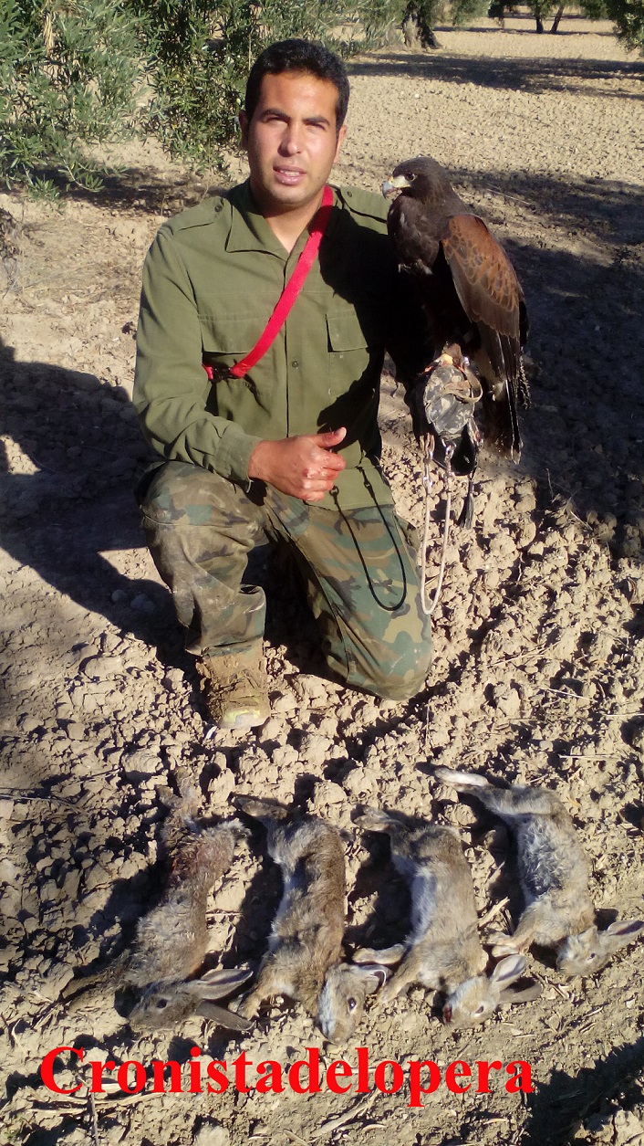 Hoy os presentamos para los amantes de la cetrería y de la caza con aves de presa a "Anita" un Águila de Harris hembra de un año con su adiestrador el loperano Pedro José Ruiz Martínez.