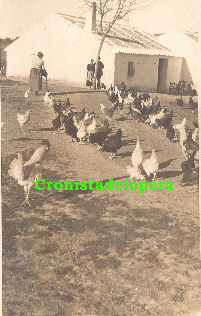 Casería del Molinillo. Granja Avícola. Año 1922