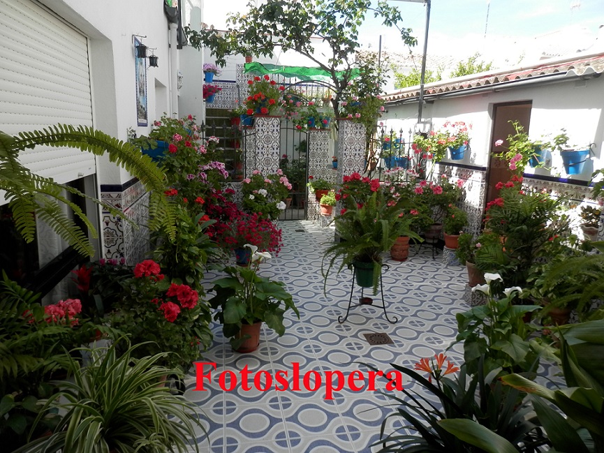 Paseo por los patios loperanos en Mayo. Hoy patio de la familia Cruz González sito en la calle Francisco Corazón, 3.