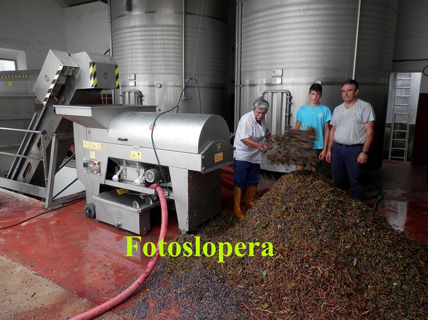 Las Bodegas Herruzo de Lopera comienzan la Vendimia Nocturna de variedades de uvas tintas del pago de las Niñas Muertas. Se espera molturar unos 100.000 kilos con una graduación en torno a 14º.