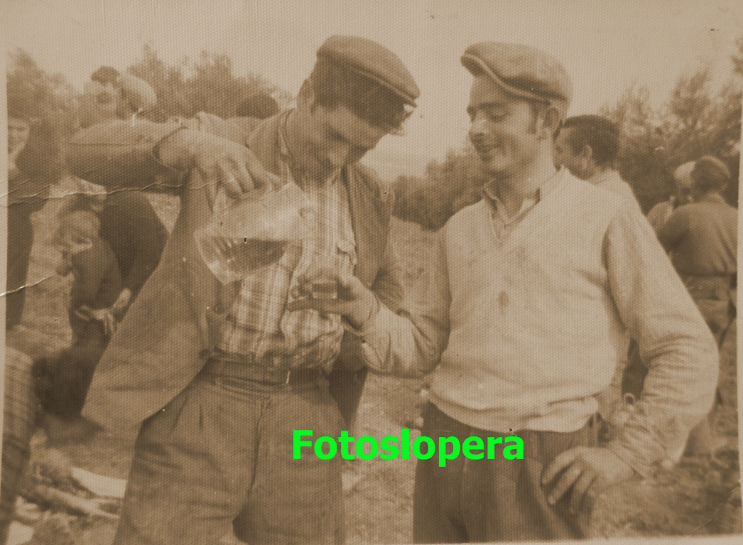 Los Loperanos Antonio Gómez y Cristino Pedrosa en un Remate de la Aceituna en la Finca "El Velecejo" propiedad de Joaquín Rodríguez Muñoz Cobo. Año 1968.