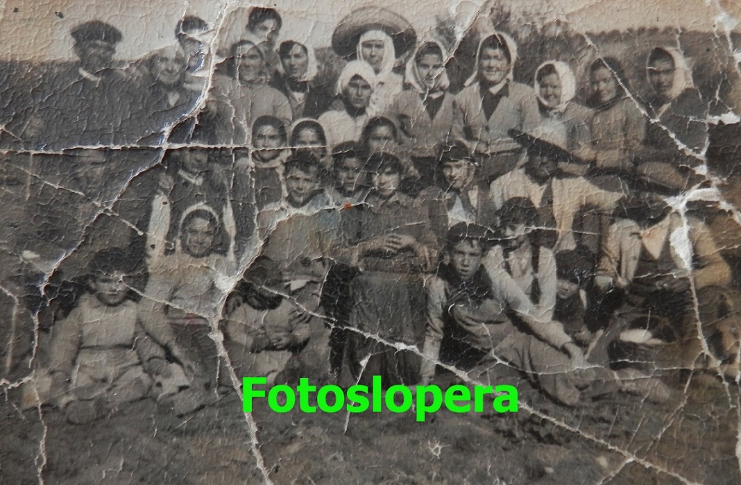 Cuadrilla de Aceituneros de Lopera en un remate de la aceituna en la Finca de Santa Rosa de Lima propiedad de Ignacio Sánchez. Año 1953