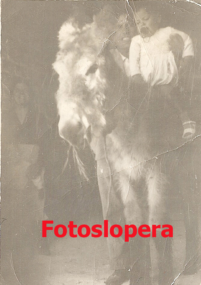 El niño Pedro Gil Cobo a lomos del burro Regaliz en 1959 junto a sus padres Gregoria Cobo y Pedro Gil.