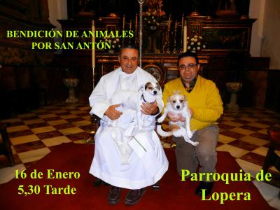 El Sábado 16 de Enero a partir de las 5,30 de la tarde en la Parroquia de la Inmaculada Concepción tradicional Bendición de Animales y Mascotas con motivo de la Festividad de San Antón Abad.