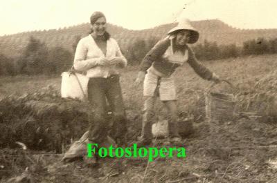 Las loperanas Antonia Infantes y Rafi Gil sacando patatas en la Vega del Carretero. Año 1975