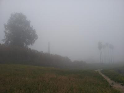 ¡Buenos días Lopera! Hoy mañanita de niebla. Vista de la Fábrica Cabrera desde el antiguo Matadero Municipal.