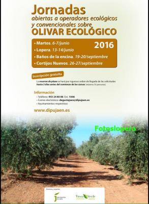 Lopera acogerá el 13 y 14 de Junio unas Jornadas Abiertas a Operadores Ecológicos y Convencionales sobre Olivar Ecológico.