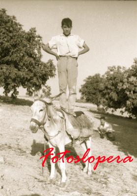 El loperano Juan Santiago Izquierdo haciendo equilibrio sobre su burro. Año 1962