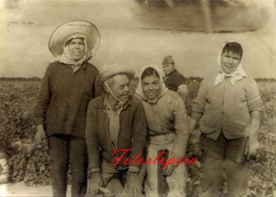 Loperanos vendimiando en Socuellamos (La Mancha). Familia Morales Rubio. Año 1971