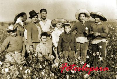 Grupo de mujeres, hombres y niños de Lopera cogiendo algodón en la Vega. Margarita, Isabel, Felipa Ruiz...