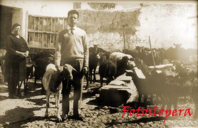 Dominga Palomo Medina y Benito Valenzuela Palomo con su rebaño de cabras. Año 1964
